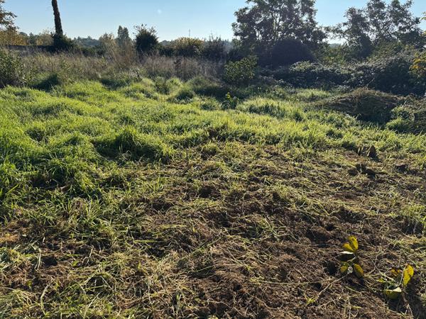 TERRAIN MIGNE AUXANCES 660 m2