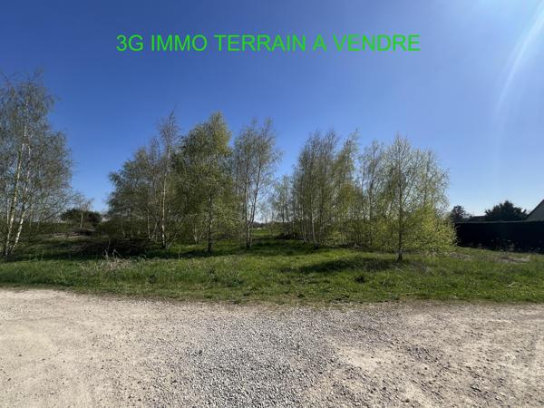 Vente / Terrain