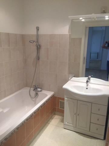 Bel appartement lumineux 550 €