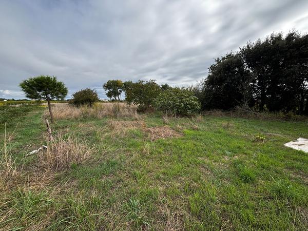 Belle Longère Oléronaise avec Hangar de 176 m² sur 2 691 m² de Terrain