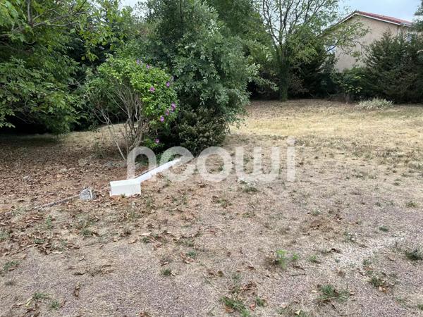 Terrain plat et arboré constructible