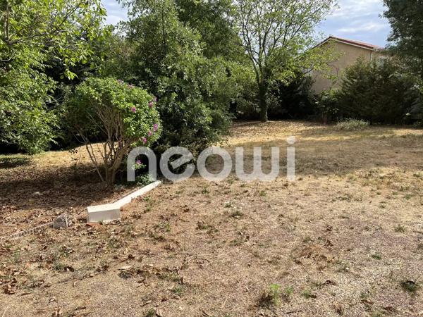 Terrain plat et arboré constructible
