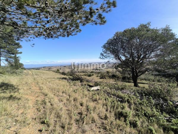 Terrain de loisirs