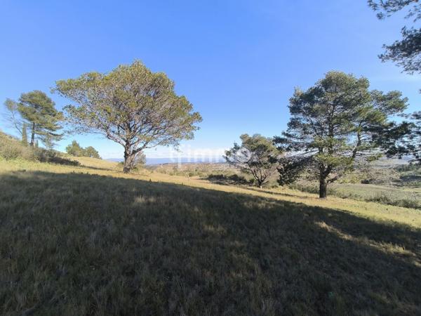 Terrain de loisirs