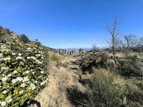 Terrain de loisirs