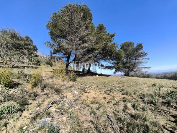 Terrain de loisirs