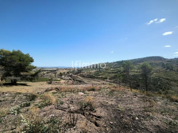 Terrain de loisirs