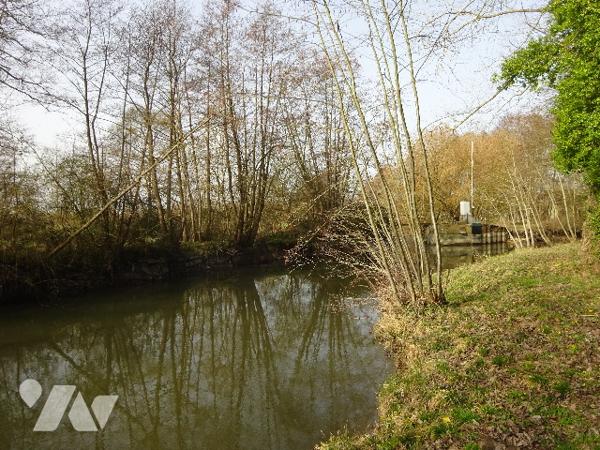 PEUPLERAIE A VENDRE A NOGENT LE ROTROU