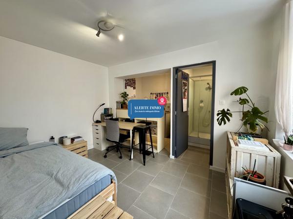 IMMEUBLE RENOVE 3 STUDIOS+1 T2+1 RDC COMMERCIAL