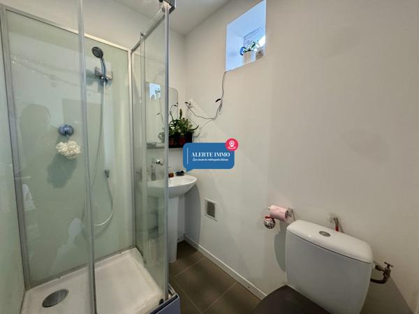 IMMEUBLE RENOVE 3 STUDIOS+1 T2+1 RDC COMMERCIAL