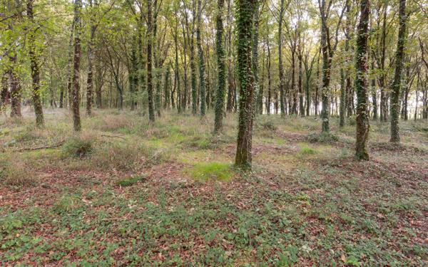 Maison à vendre    5 pièces • 154 m2 Saint-Sever