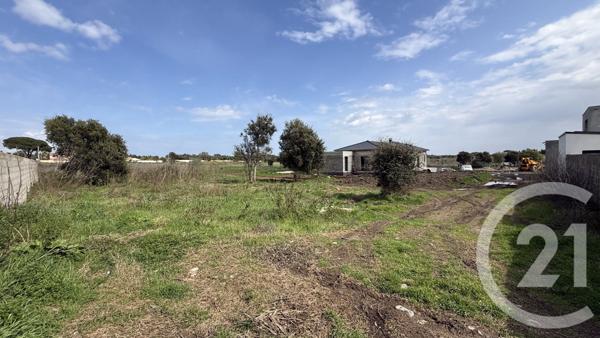 Terrain à vendre  949 m2 BORGO - 202