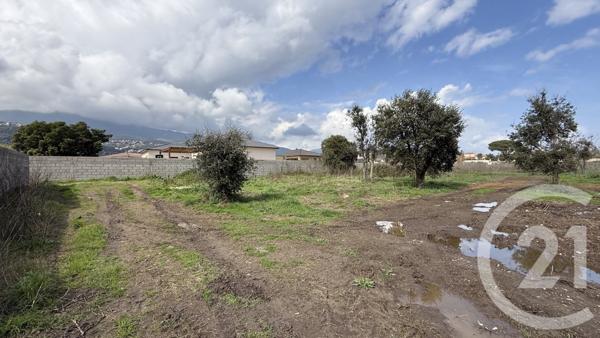 Terrain à vendre  949 m2 BORGO - 202