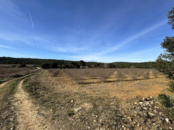Vente / Terrain