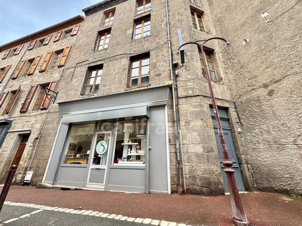 APPARTEMENT/DUPLEX DE 42 M2, UNE SUITE PARENTALE, MONTBRISON CENTRE