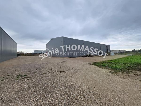 Bureau de 350 m²