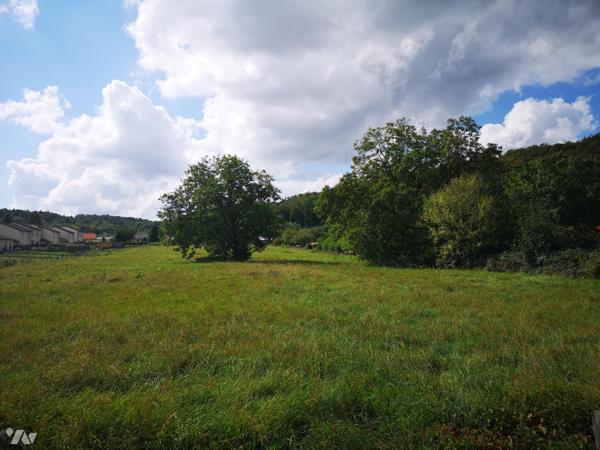 Rachecourt terrain à bâtir d'une superficie de 8420m2