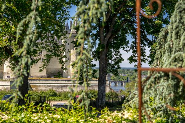 Propriete d'exception à vendre à SAUMUR (49400) Panorama d'exception sur le château et la Loire - 328m² - 2278m²-piscine