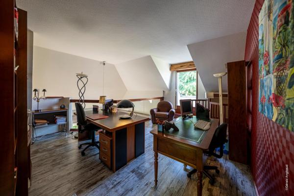 Propriete d'exception à vendre à SAUMUR (49400) Panorama d'exception sur le château et la Loire - 328m² - 2278m²-piscine