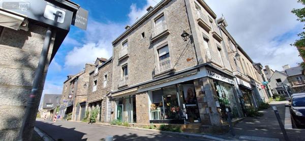 Local mixte (Pro/Hab) à vendre à Saint-Aubin-du-Cormier en Ille-et-Vilaine (35140), ref : 137/4073