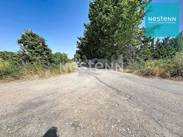 HANGAR AGRICOLE DE 1528 M2 sur terrain de 10925 M2