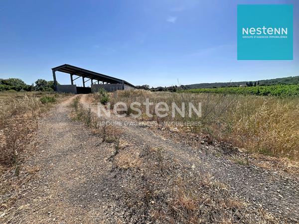 HANGAR AGRICOLE DE 1528 M2 sur terrain de 10925 M2