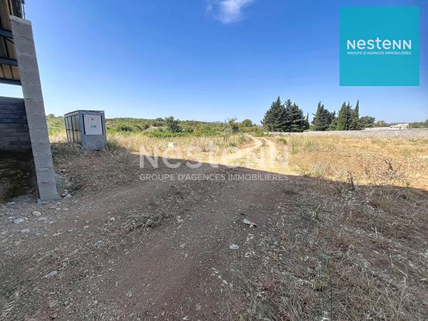 HANGAR AGRICOLE DE 1528 M2 sur terrain de 10925 M2