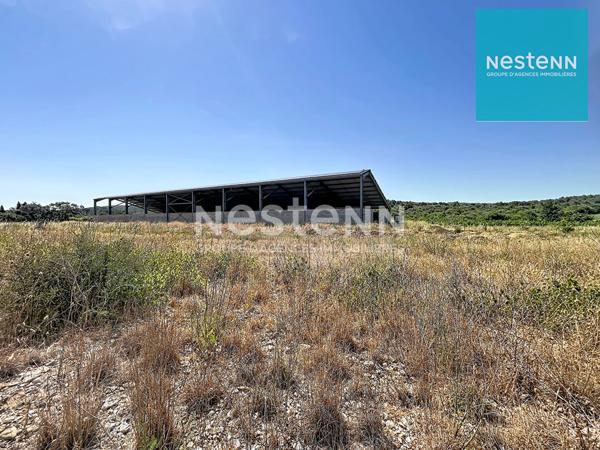 HANGAR AGRICOLE DE 1528 M2 sur terrain de 10925 M2
