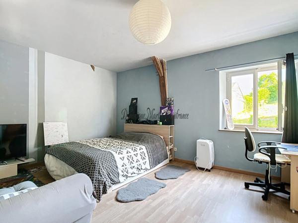 Sarthe (Dpt 72), COURDEMANCHE, Maison à vendre 5 pièces- jardin- terrasse- cave