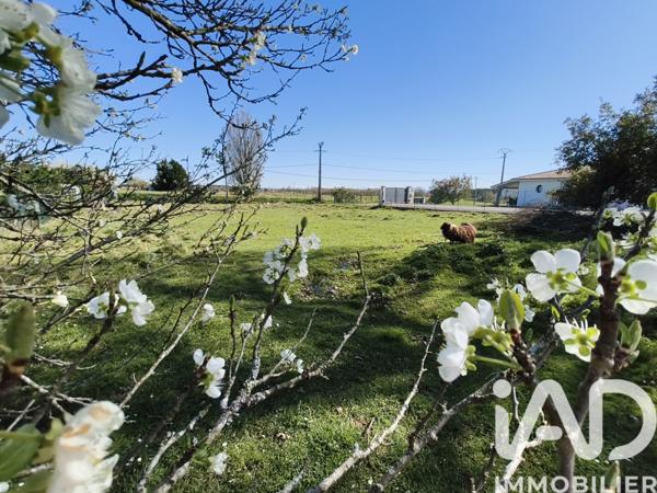 Maison à vendre 6 pièces 197 m² Hagetmau