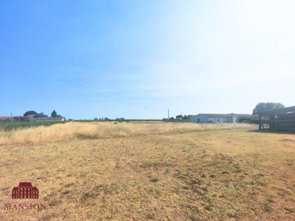 Ancien séchoir sur terrain constructible