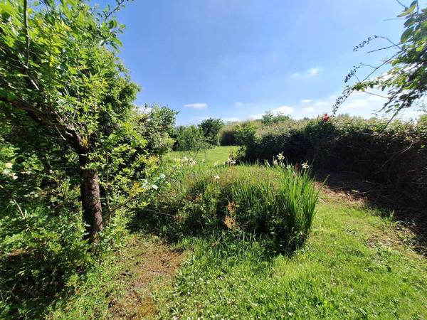 Maison 5 pièces – 122 m² sur terrain de 2 425 m² – Riscle – 169 900 € En exclusivité – Laurent Descoubet, conseiller CAPIFRANCE