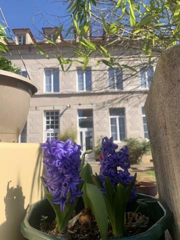 Vente Maison de village 18 pièces 384 m2 à Noyers