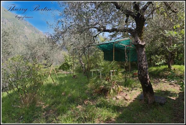 Maison à vendre 3 pièces BREIL SUR ROYA (06)