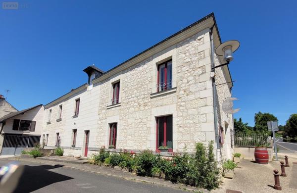 Fonds et/ou murs commerciaux à vendre à Saint-Benoît-la-Forêt dans l'Indre-et-Loire (37500), ref : 37049-59