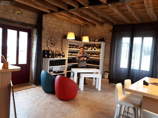 Fonds et/ou murs commerciaux à vendre à Saint-Benoît-la-Forêt dans l'Indre-et-Loire (37500), ref : 37049-59