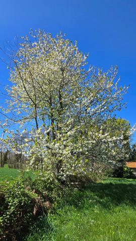 TERRAIN DE LOISIR - CALME ET DETENTE - PROCHE MONTS DE BLOND