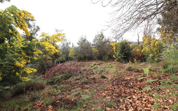 Terrain à vendre    Berre-les-Alpes