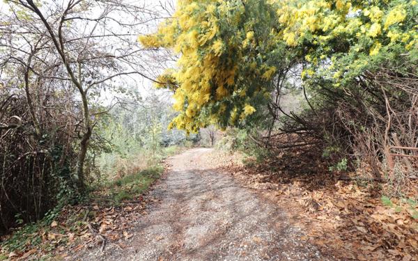 Terrain à vendre    Berre-les-Alpes