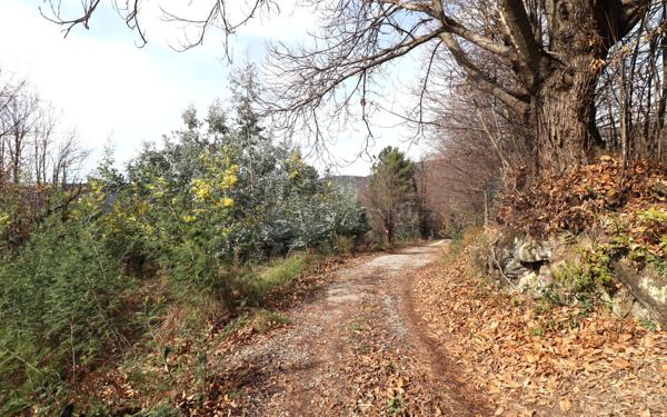 Terrain à vendre    Berre-les-Alpes
