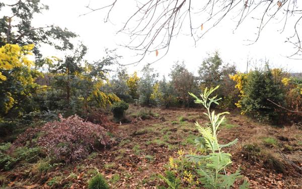Terrain à vendre    Berre-les-Alpes