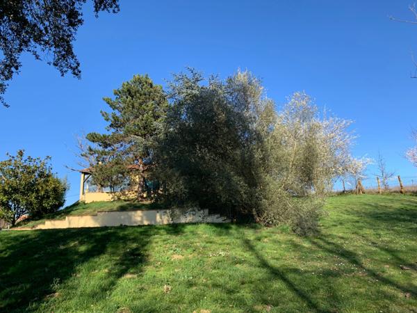 Dpt Haute Garonne (31), à vendre SAINT JEAN maison P7 de 200 m² - Terrain de 3 000,00 m²