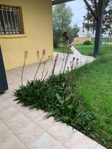 Dpt Haute Garonne (31), à vendre SAINT JEAN maison P7 de 200 m² - Terrain de 3 000,00 m²