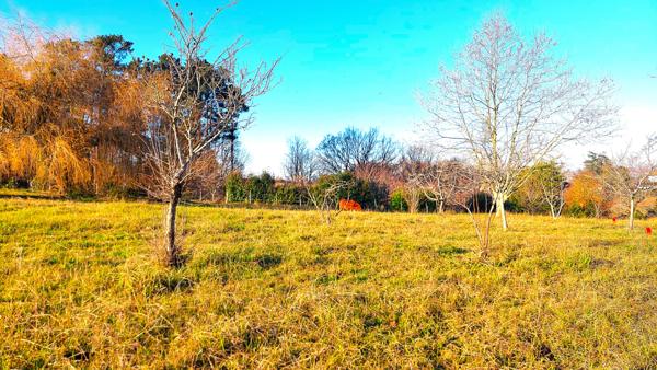 Guiche (64520) Guiche - Terrain avec belle vue