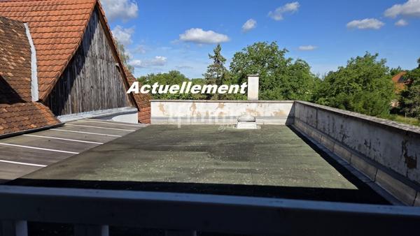Immeuble mixte 400m² + dépendances sur 20 ares