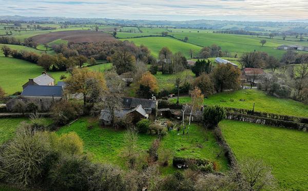 Ensemble immobilier avec gîte et potentiel second gîte - Maison T7 de 211 m² sur terrain arboré