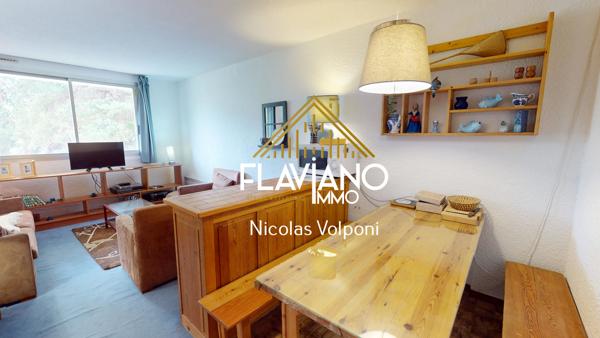Appartement 48 m2 T3 Le sauze (04400)