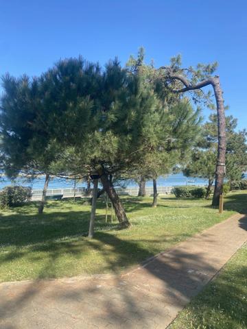Le Moulleau : studio avec accès direct à la plage, parking et cave