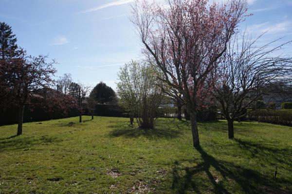 Terrain Plat, arboré et clôturé de 1050 m² (possibilié de diviser en deux parcelles déjà bornées).