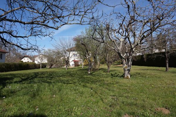 Terrain Plat, arboré et clôturé de 1050 m² (possibilié de diviser en deux parcelles déjà bornées).
